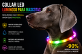 Collar LED PawGuard - Seguridad Nocturna